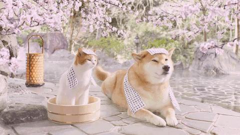 广元秦巴秘境,广元适合探险的神秘地方