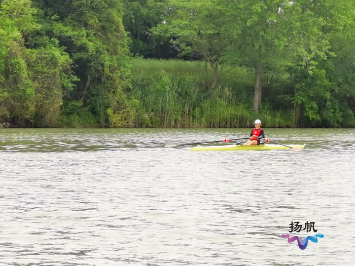 扬州生态科技新城：各支赛艇队逐浪太平河备战亚运会省运会