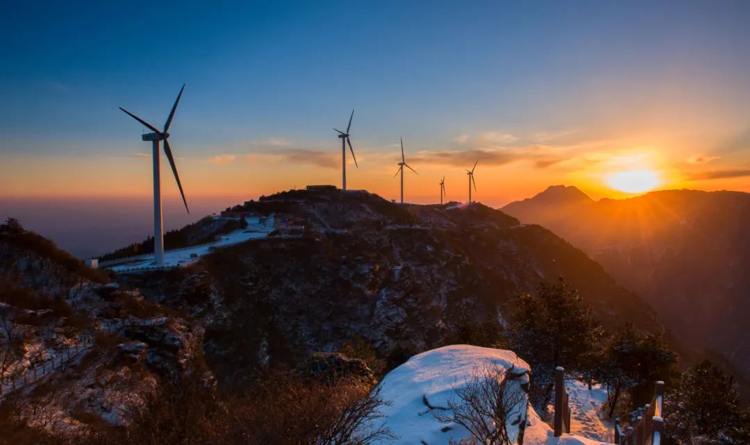 到咸宁看国宝过大年,离家45年的国宝回湖北咸宁过年