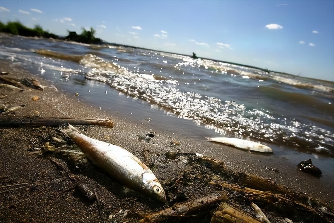 广东首个核辐射健康门诊,广州市第一家核辐射门诊