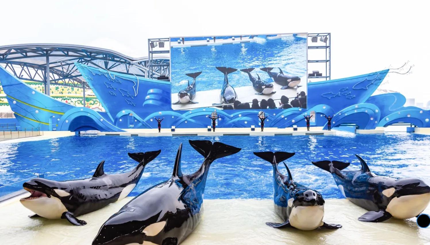 上海遛娃好去处周末亲子时光,上海有哪些值得遛娃的地方