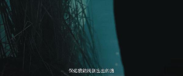 本以为是烂片的电影,纸人回魂陈紫函饰演的谁