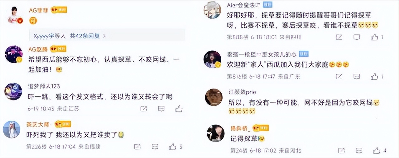 ag转会最新官宣消息主播们反应,ag官博