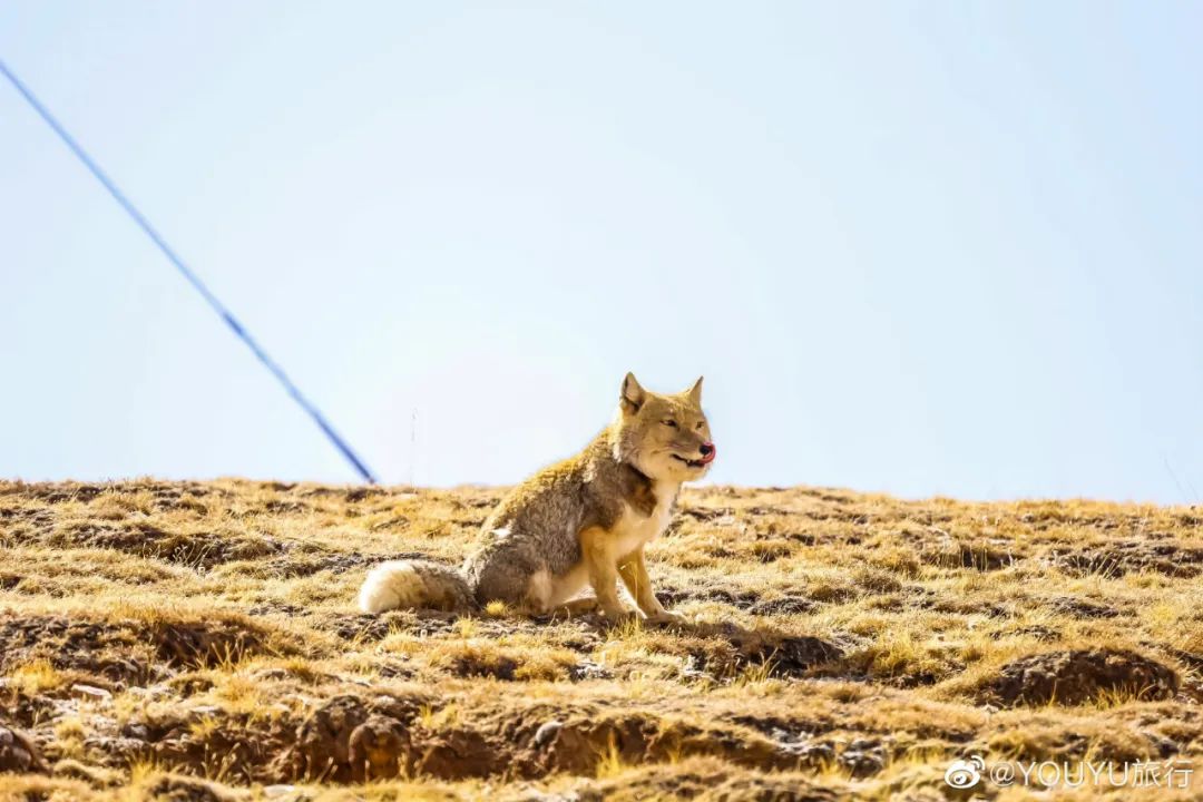 西藏小众旅行摄影,摄影必去的12个地方广州