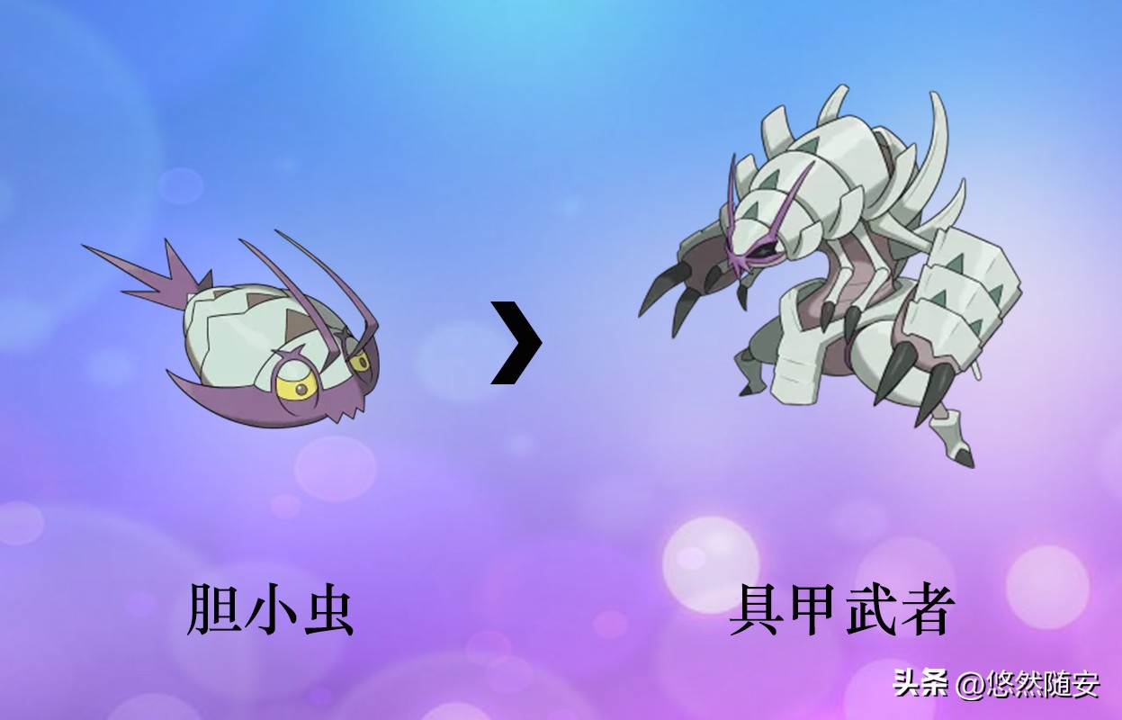 宝可梦6种进化形态,宝可梦进化图片