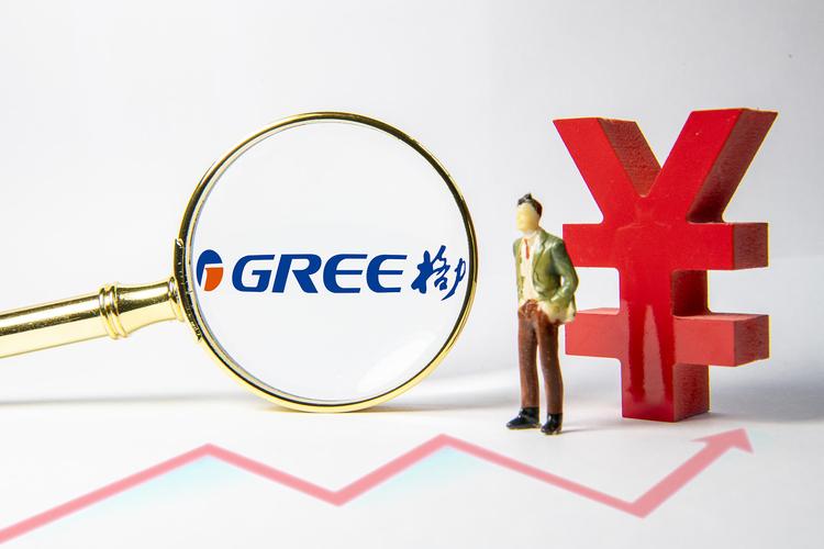 格力企业财务风险分析与防范论文,格力财务管理制度分析