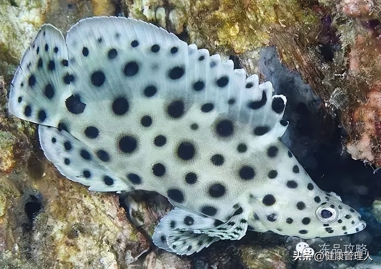 美容护肤食疗方案,美容护肤养生介绍