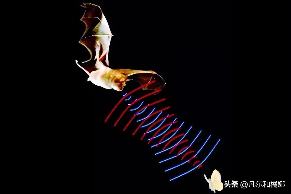 超声波毫米波激光雷达的区别,车载超声波雷达探测距离