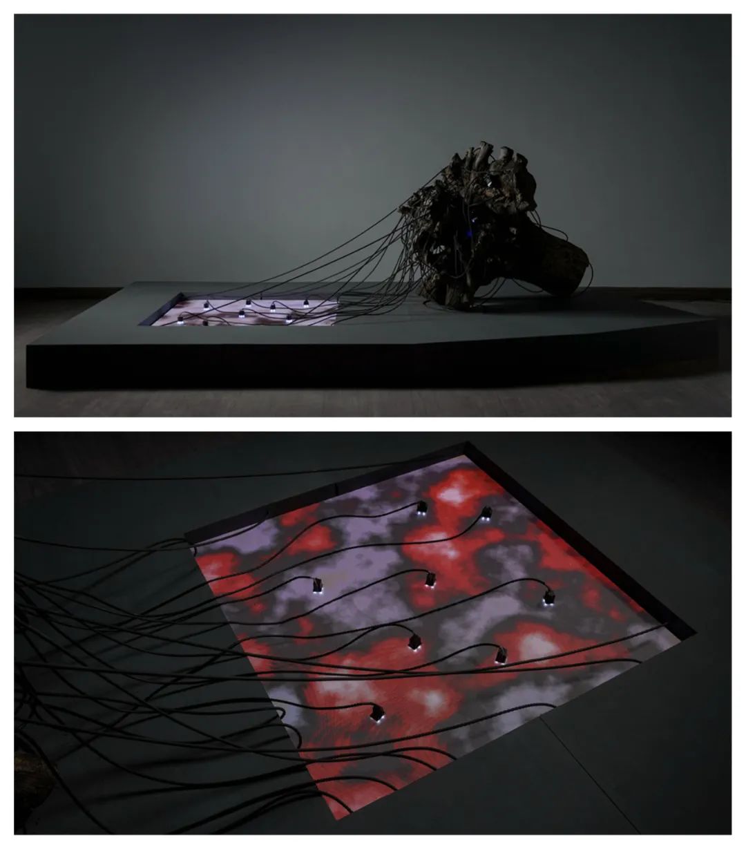 2021年中央美术学院毕业作品展,中央美术学院研究生毕业作品展