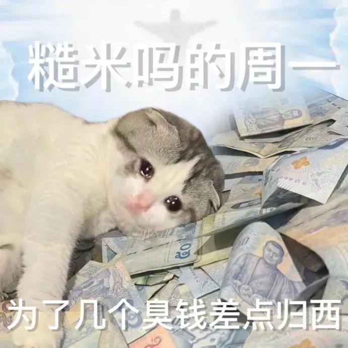 表情包今天你练车了吗,表情包今天是周五