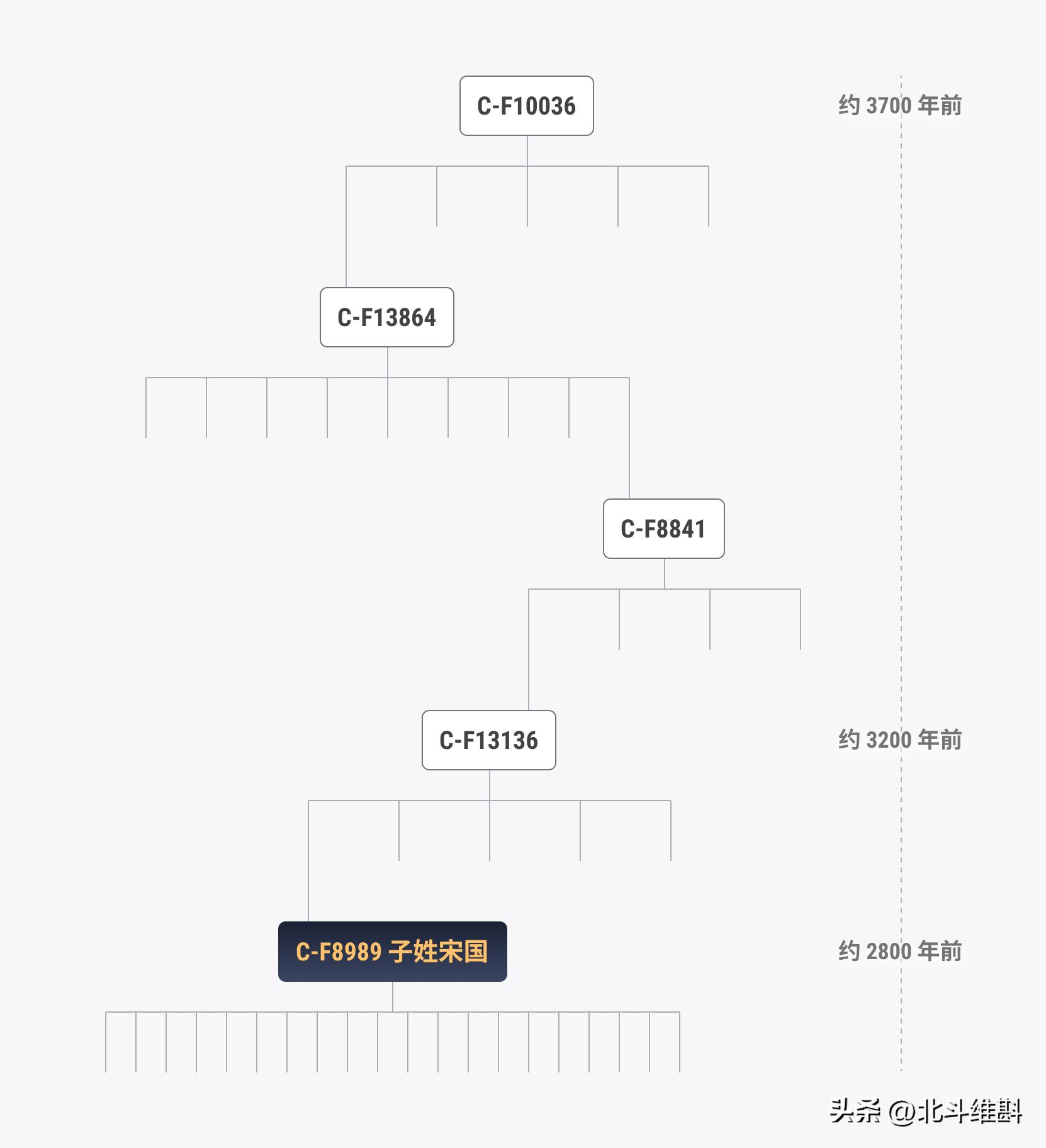 中国dna确定100万年古人类,从dna角度看人类