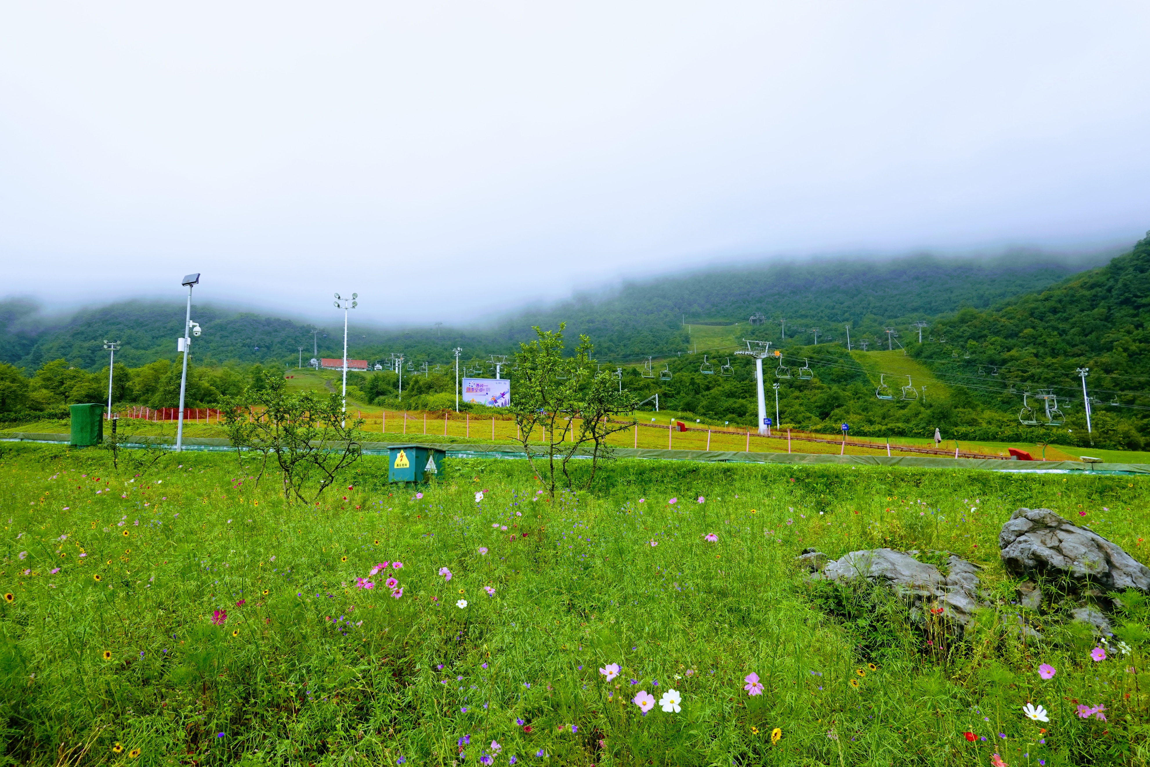 成都大邑徒步旅游攻略,大邑西岭雪山后山门票