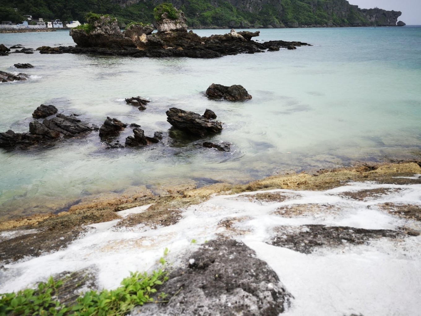 暑期档2019年,2019年暑期档