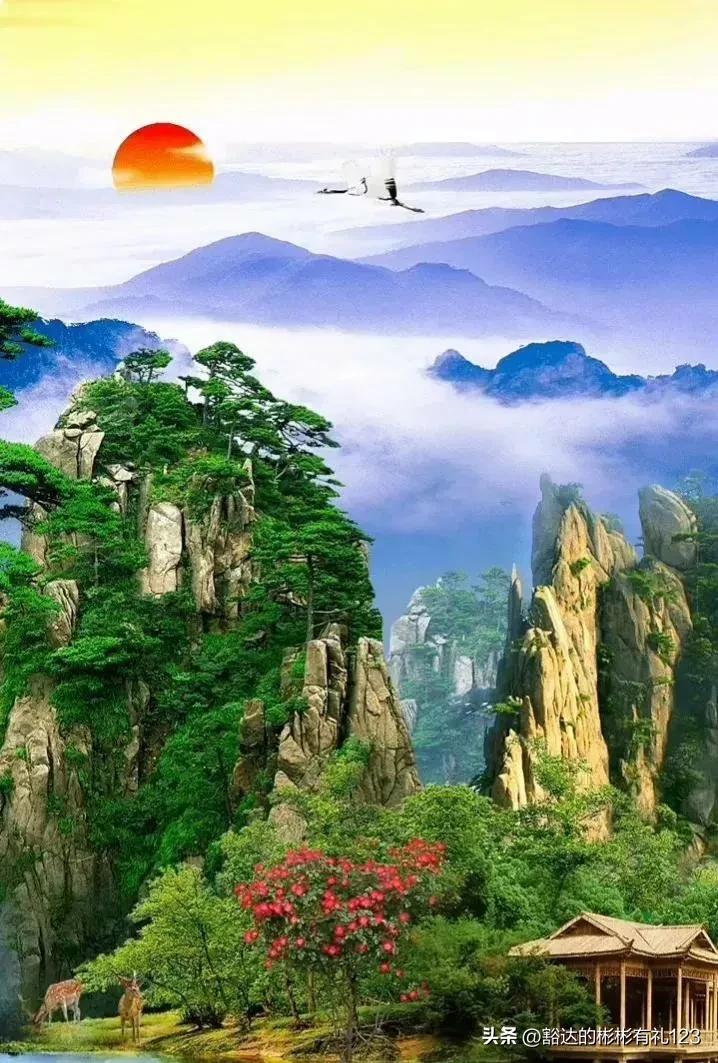 难得一见绝美一清二楚郁金香壁纸,难得一见雪景壁纸