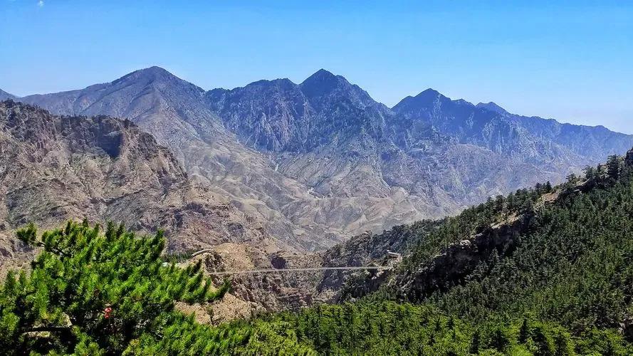 剿匪作战,西北剿匪记