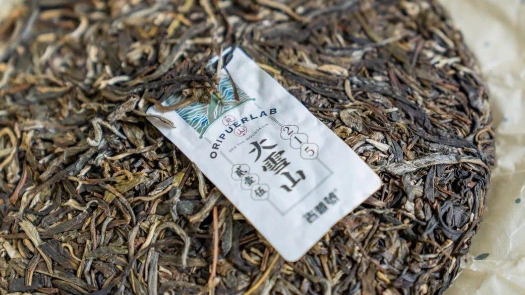 2023年古树春茶价格表,如何鉴别一款茶是古树纯料