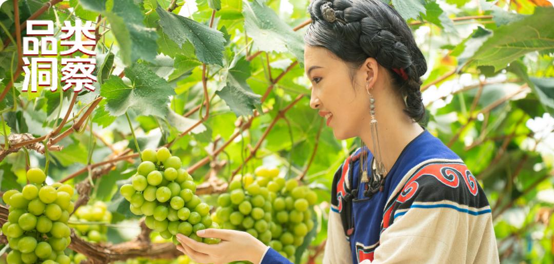 书亦新品最新消息,书亦新品发布会