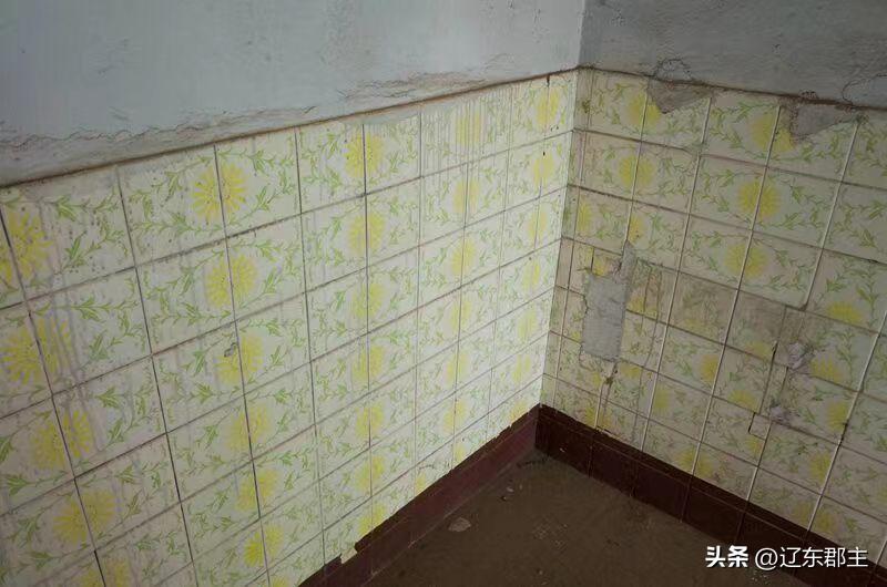 兴城204医院真实事件,兴城204医院的前世今生