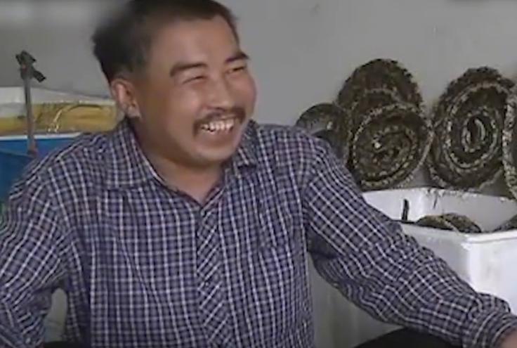 男子被剧毒蛇咬后蛇却奄奄一息,男子被蛇咬安然无恙蛇却奄奄一息