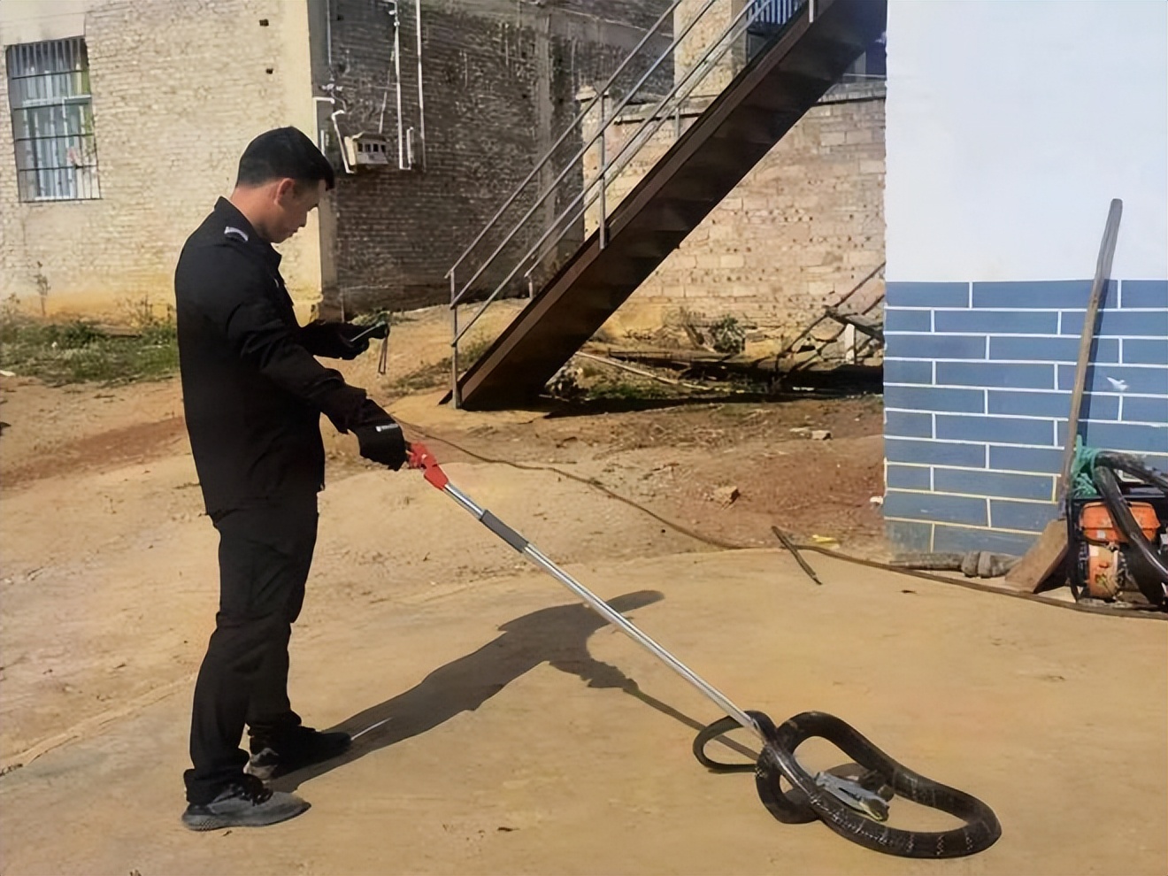 农户家中惊现两米长剧毒眼镜王蛇,发现剧毒的眼镜王蛇需要怎么处理