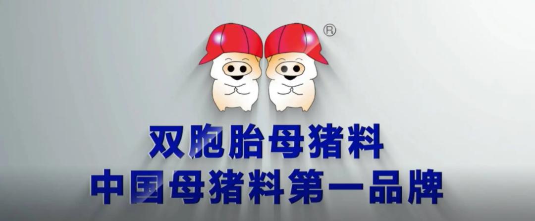 2022品牌价值排行榜区域品牌,2022十大家具品牌