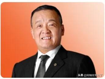 中国平安2023世界500强,中国500强有多少保险公司