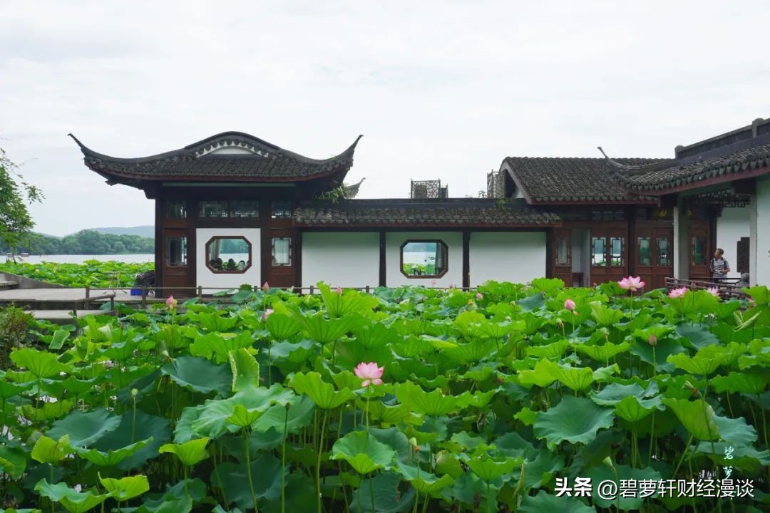 长沙第一波赏荷地图,杭州夏日赏荷地图