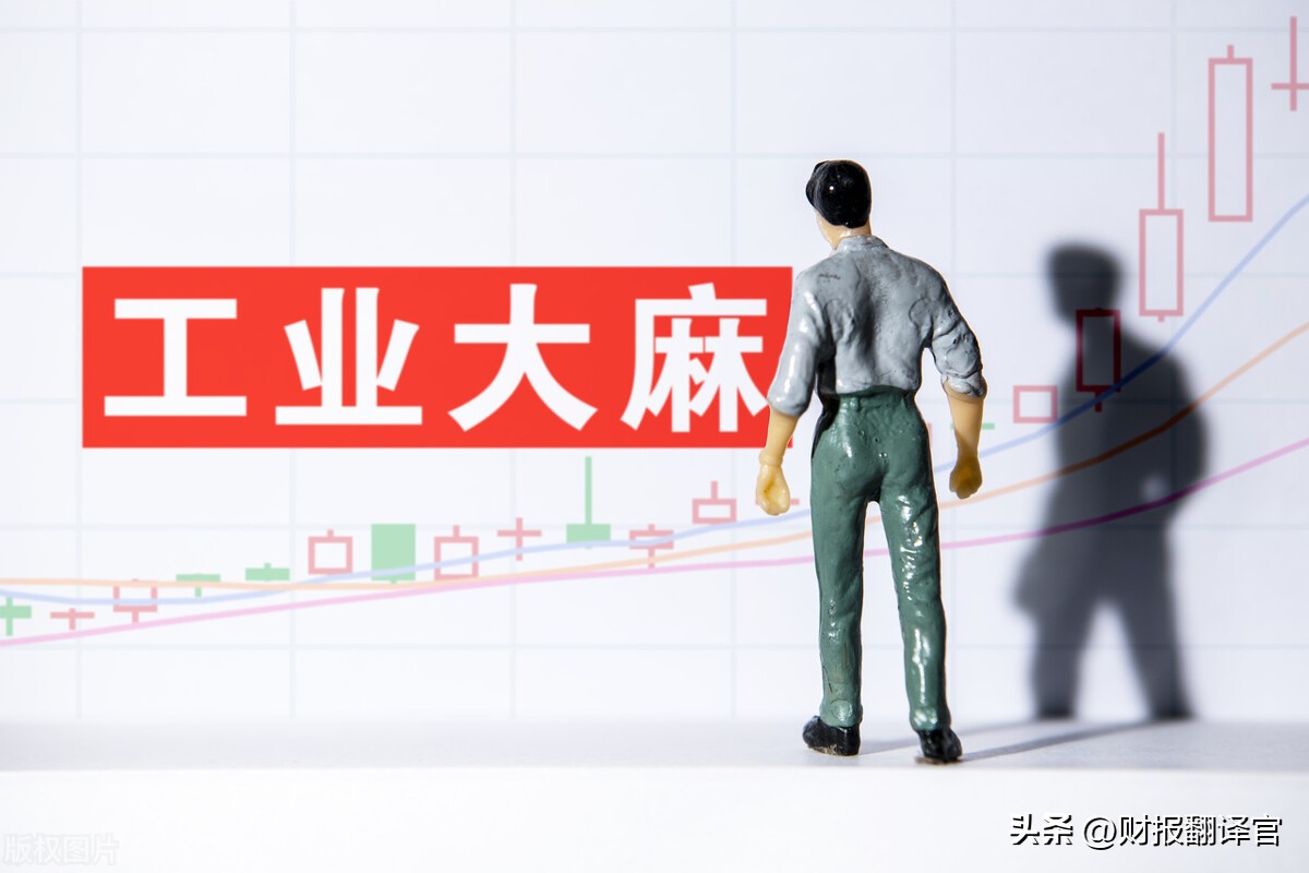 工业*麻大**第一股,拥有6000亩工业*麻大**种植园,利润率达67%,股票放量