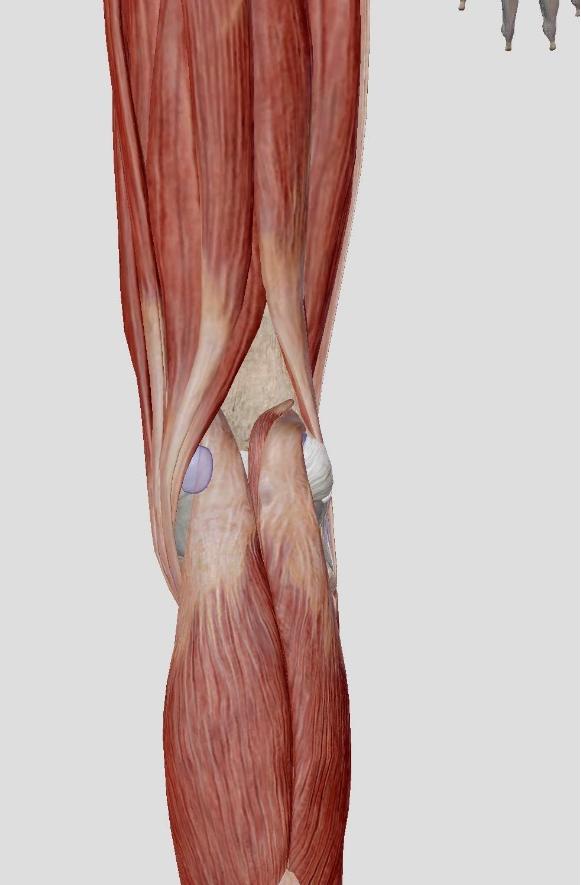 骨刺骨质增生图片大全,骨质增生与骨刺是不是同类病名