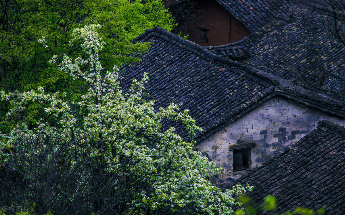 守山人传说故事,江西守村人的真实传说