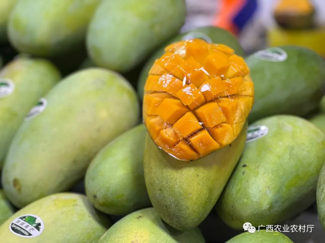 夏季有哪些水果上市,夏天上市的蔬菜有什么