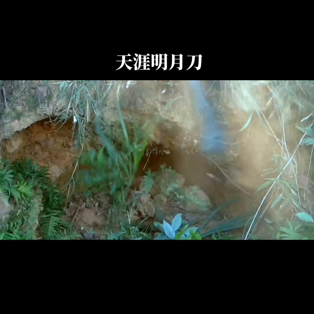 天涯明月刀手游,天涯明月刀电影狄龙