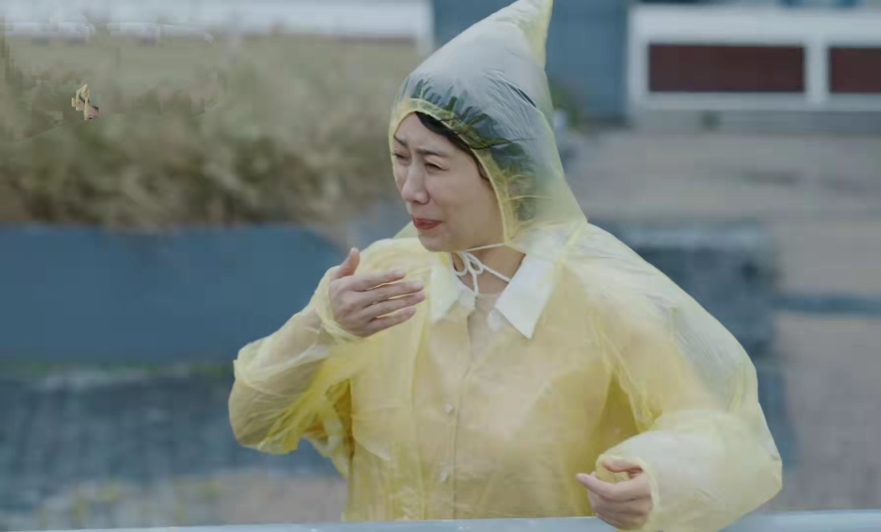 张卫国的夏天多长时间更新一集,张卫国的夏天每周多少集