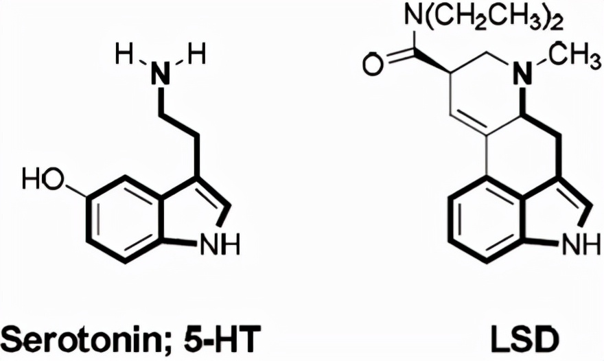 致幻蘑菇治疗精神分裂症,精神致幻症