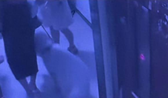 自贡女生遭人殴打完整视频,自贡女子遭夫妇殴打通告