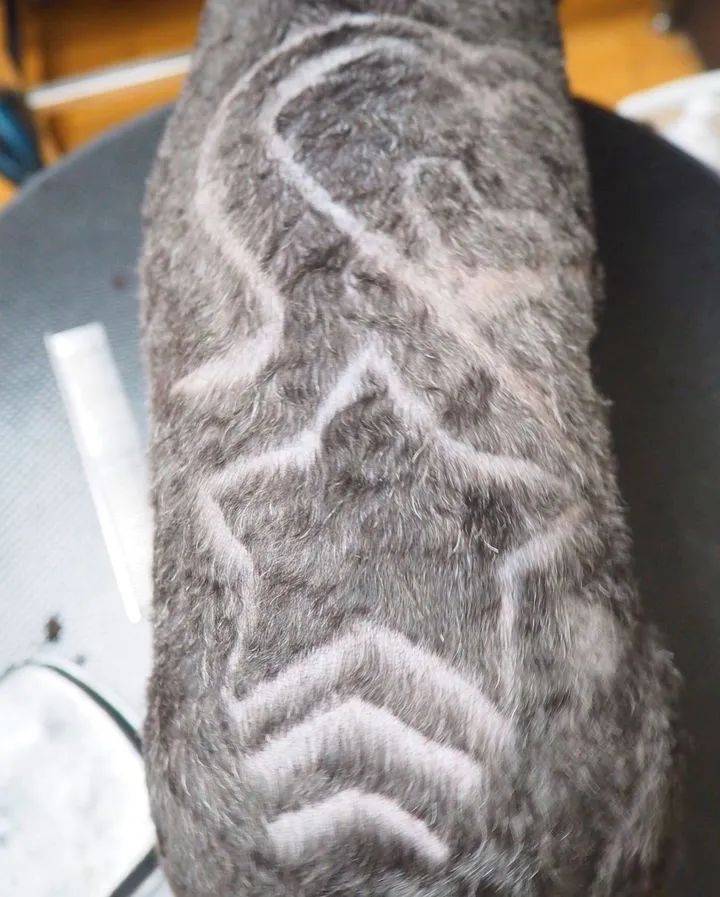 狗子剪出发射爱心的小屁屁