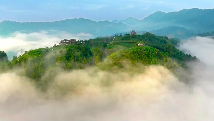 高山溪流冷水鱼怎么钓,山区冷水鱼养殖技术