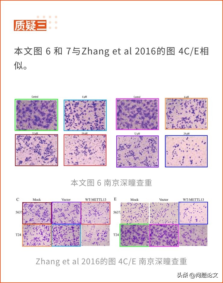 来自山东、湖北、江苏及辽宁等地医院的5篇论文竟都存在图片重复