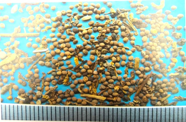 《药你明白》专栏:每天学一味中药:菟丝子