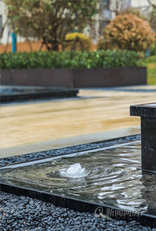 新上城区文体中心,文体中心新项目