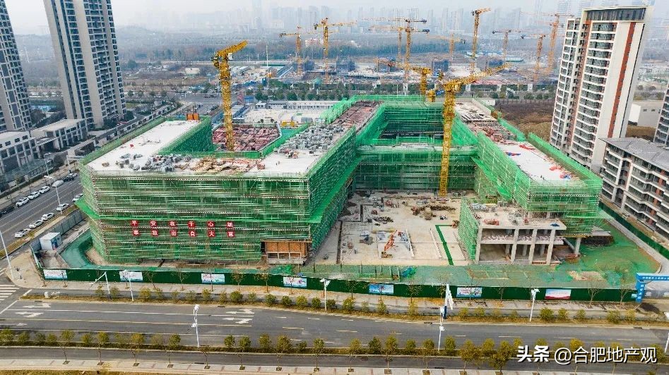 合肥各个区域学区学校排名,合肥五中东校区学区划分