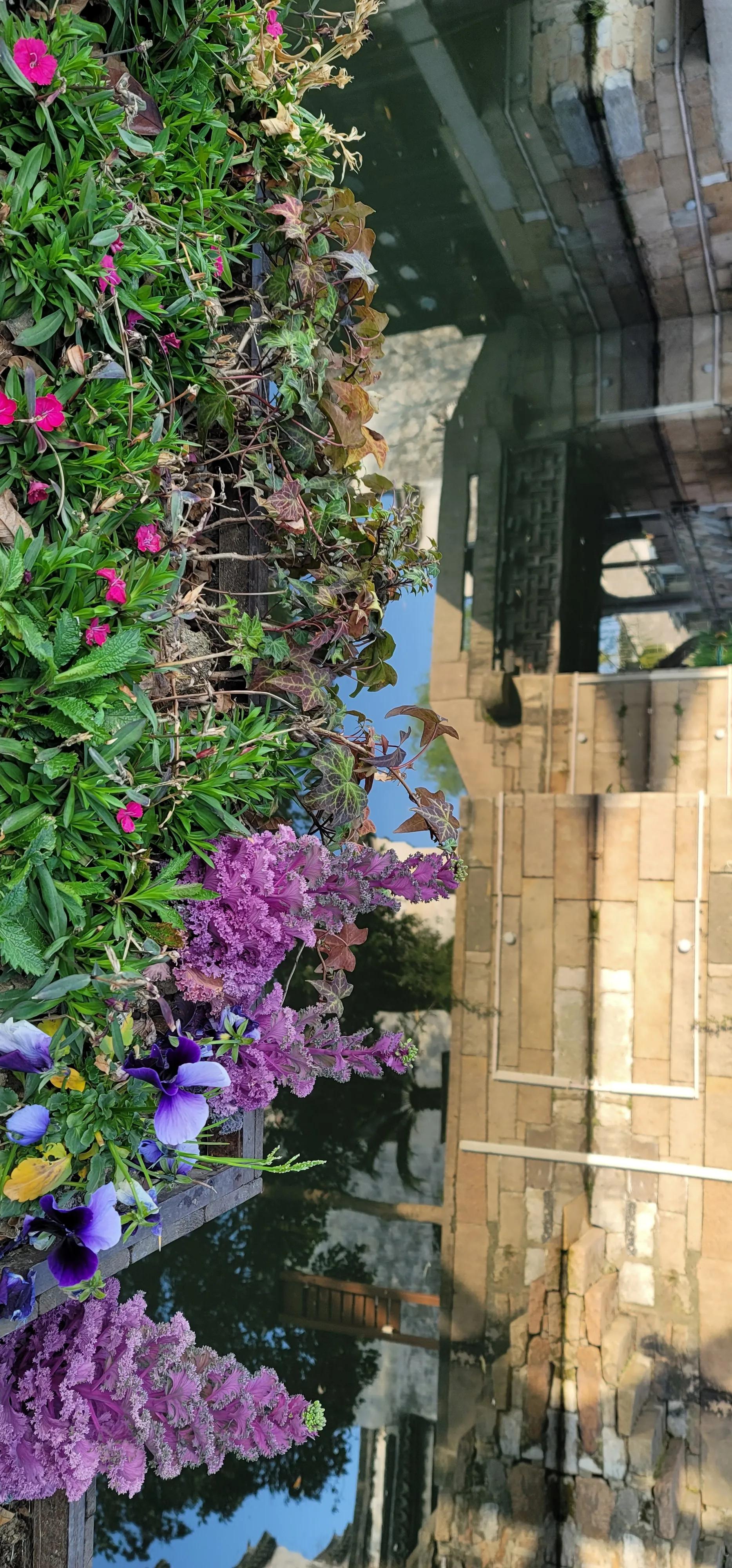 开着沪牌回老家怎么样,开着大巴玩转江浙沪