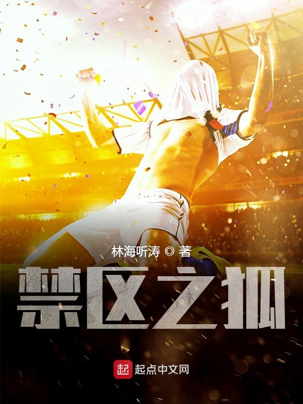 五本热血十足的足球小说推荐,五本很精彩的足球竞技小说