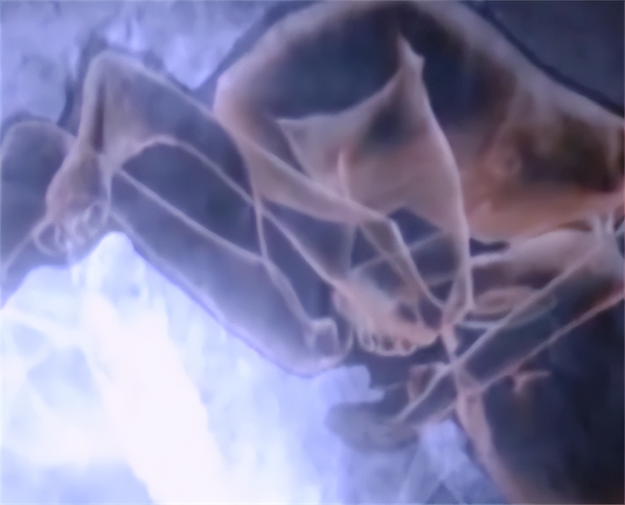 91岁老妇怀孕60年未生,91岁四川老太怀孕现在如何