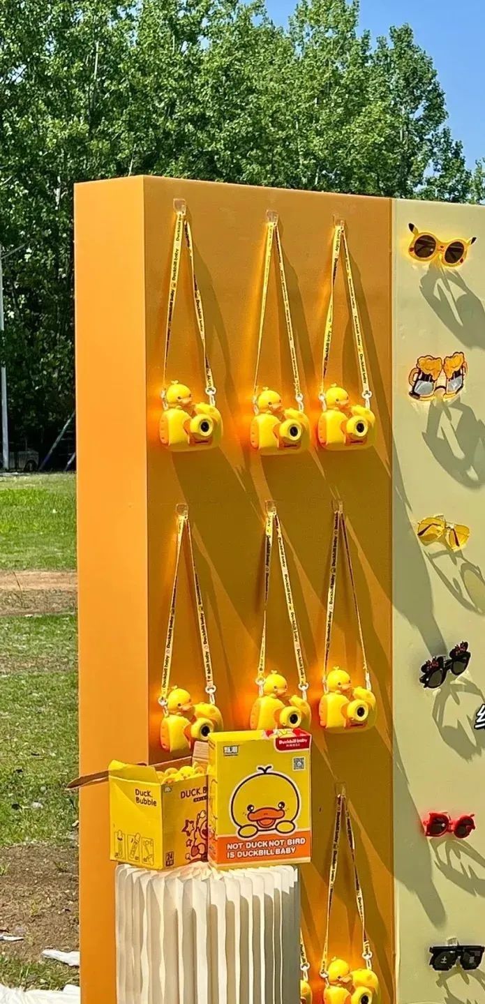 游园会婚礼全过程,游园会婚礼提前拍摄