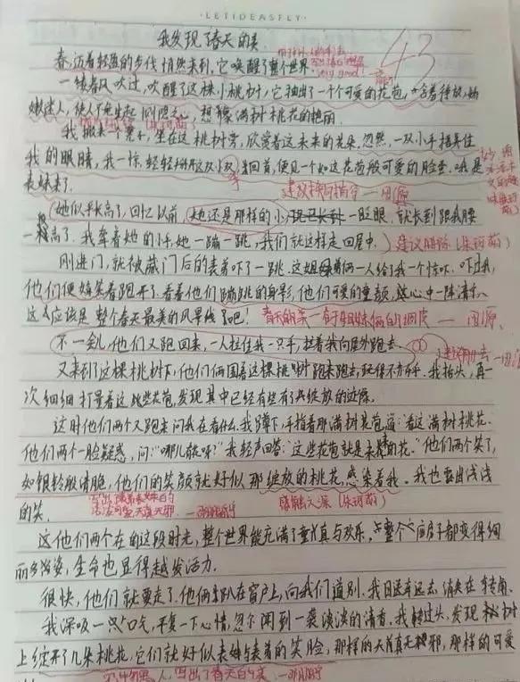 萍老师带你走进——作文修改盛宴