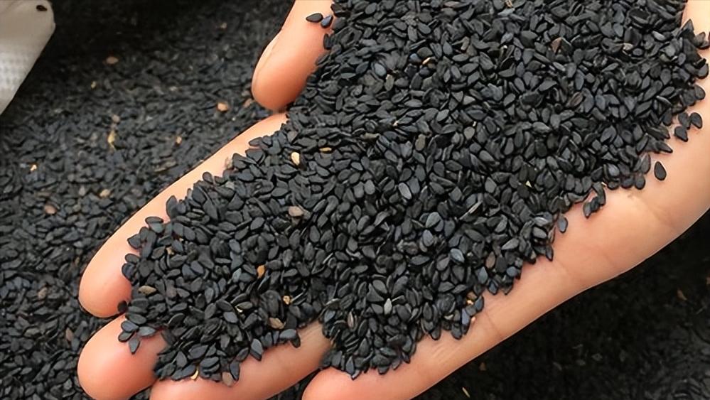 斑秃7年了用米诺地尔有效果吗 (40岁以后用米诺地尔还有效吗)