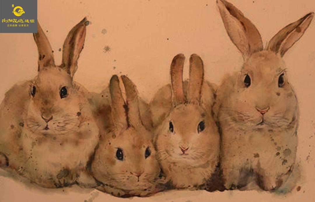 生肖兔的民俗与科学文化艺术,先生讲生肖兔