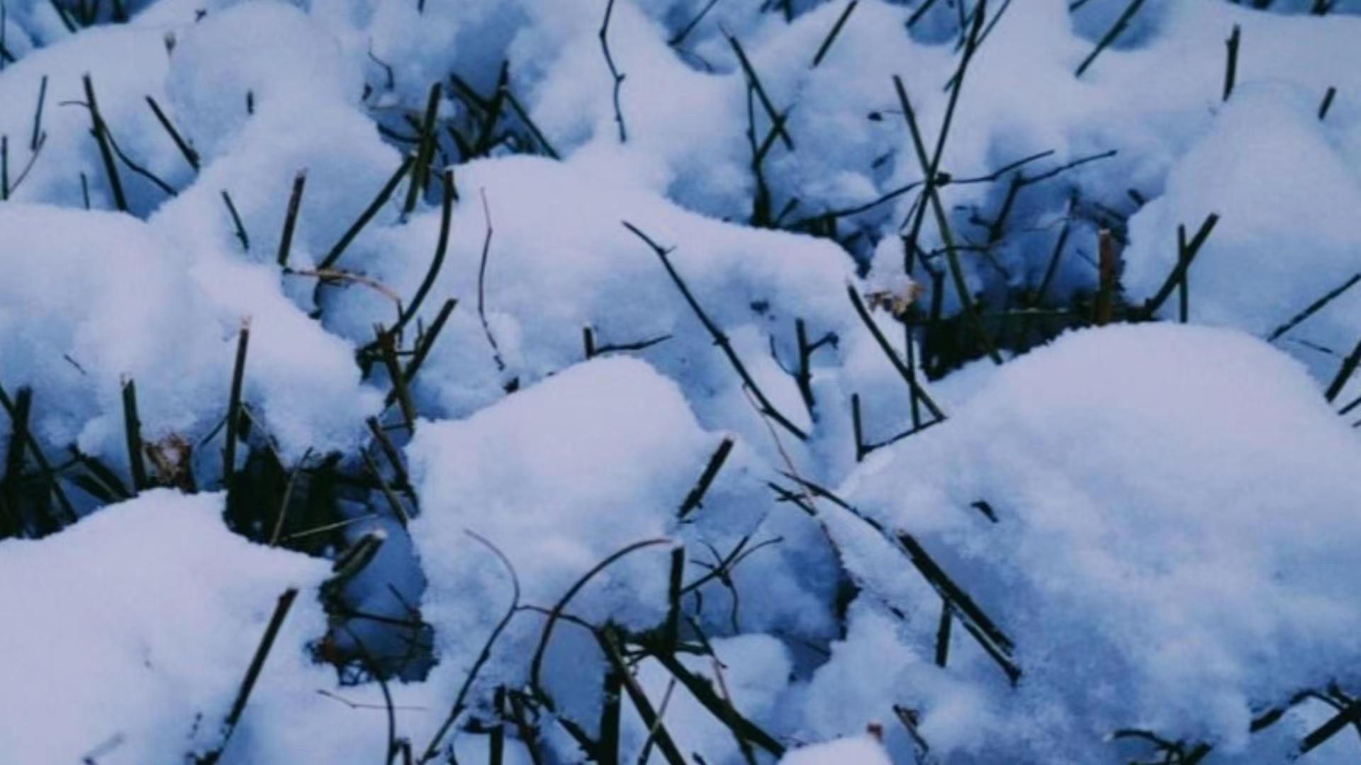 太阳表面再现巨洞约20个地球大小,太阳表面出现了巨洞是真的吗