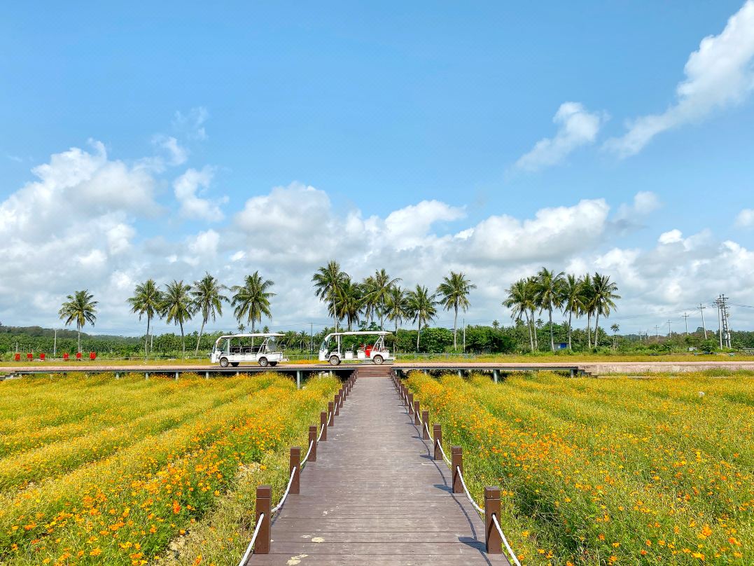 海南乡村旅游攻略：盘点海南精品设计民宿TOP10，你住过几家？